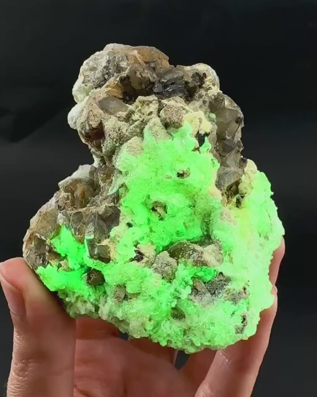 UV Reactive Hyalite Opal on Smoky Quartz | Fluorescent Mineral Specimen from Namibia