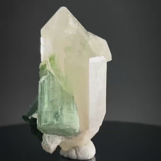 Elbaite Tourmaline on Double Terminated Quartz | Natural Green Crystal, Mineral Specimen from Pakistan