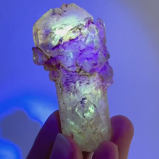 Firefly Petroleum Quartz Sceptre | UV reactive crystal, fluorescent mineral from Madagascar