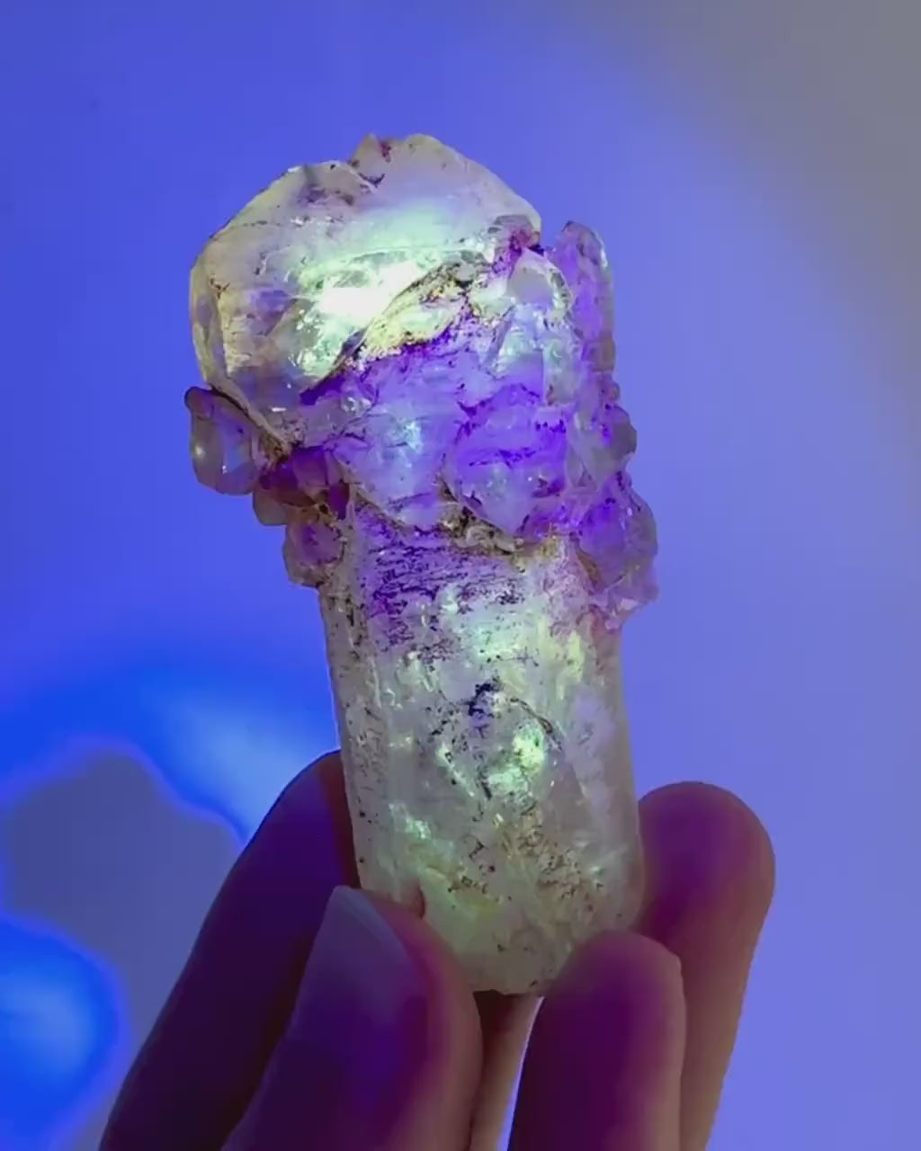 Firefly Petroleum Quartz Sceptre | UV reactive crystal, fluorescent mineral from Madagascar