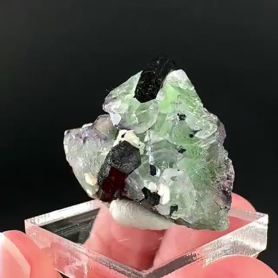 Fluorite w/ Schorl, & Muscovite | Lollipop Pocket, green crystal, mineral specimen from Namibia