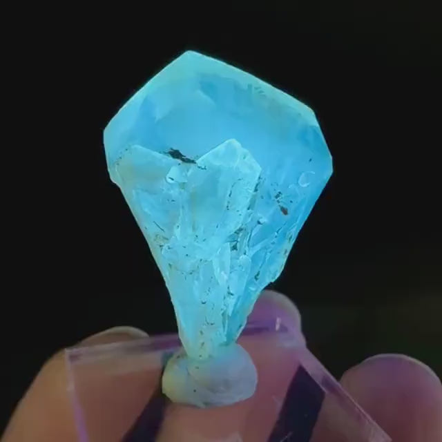 Golden Selenite Blade | Fluorescent UV Reactive Gypsum Crystal