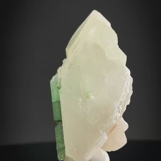 Elbaite Tourmaline on Double Terminated Quartz | Natural Green Crystal, Mineral Specimen from Pakistan