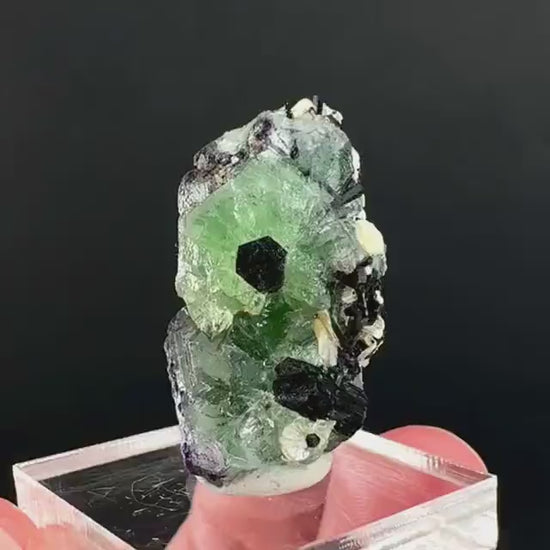 Fluorite w/ Schorl, & Muscovite | Lollipop Pocket, green crystal cluster, mineral specimen from Namibia