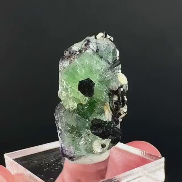 Fluorite w/ Schorl, & Muscovite | Lollipop Pocket, green crystal cluster, mineral specimen from Namibia