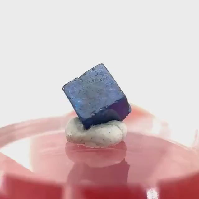 Boleite | blue cube crystal, tiny rare mineral specimen from Mexico