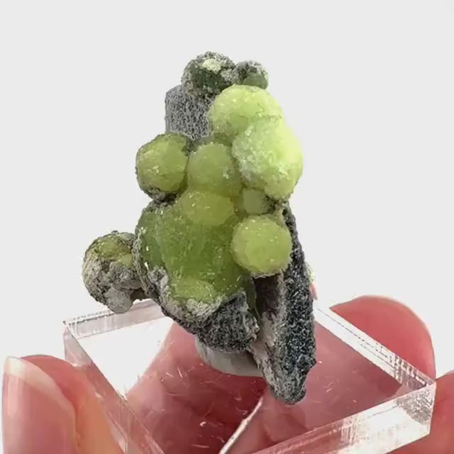 Wavellite (Arkansas, USA) | Wavellite crystal, wavellite cluster, mineral specimen, crystals