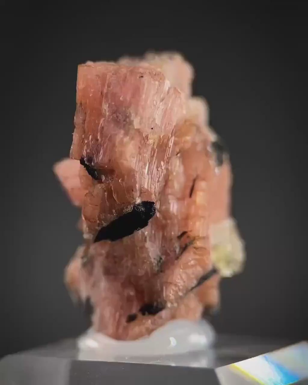 Serandite with Aegirine & Fluorite (Canada) | orange crystal, rare mineral specimen