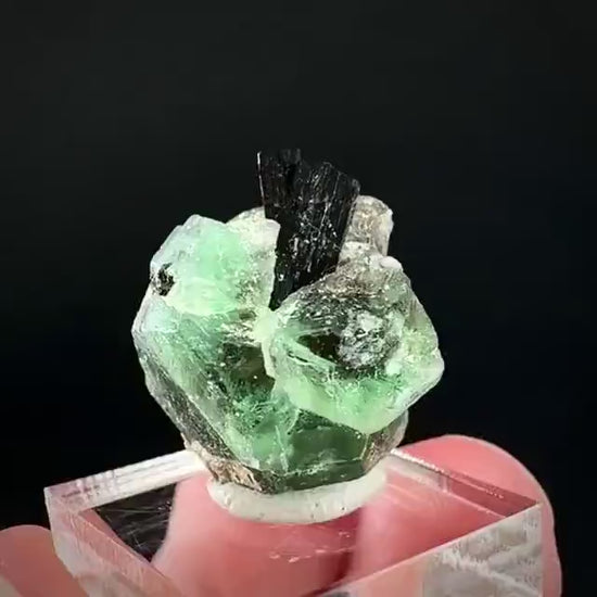 Fluorite w/ Black Tourmaline | Lollipop Pocket, green crystal, mineral specimen from Namibia