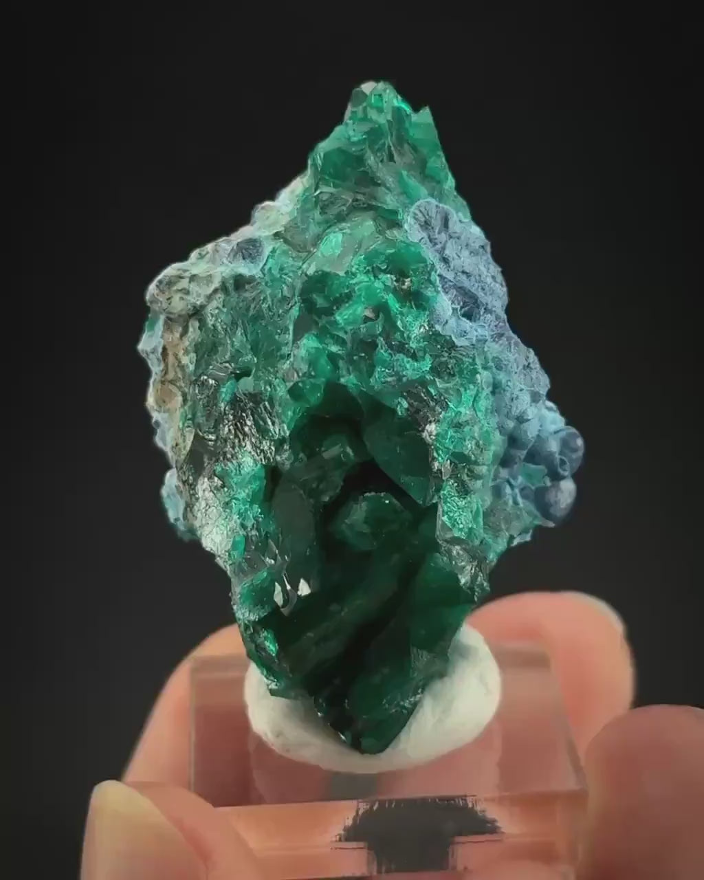 Dioptase with Shattuckite | natural green and blue crystal, mineral specimen from Namibia