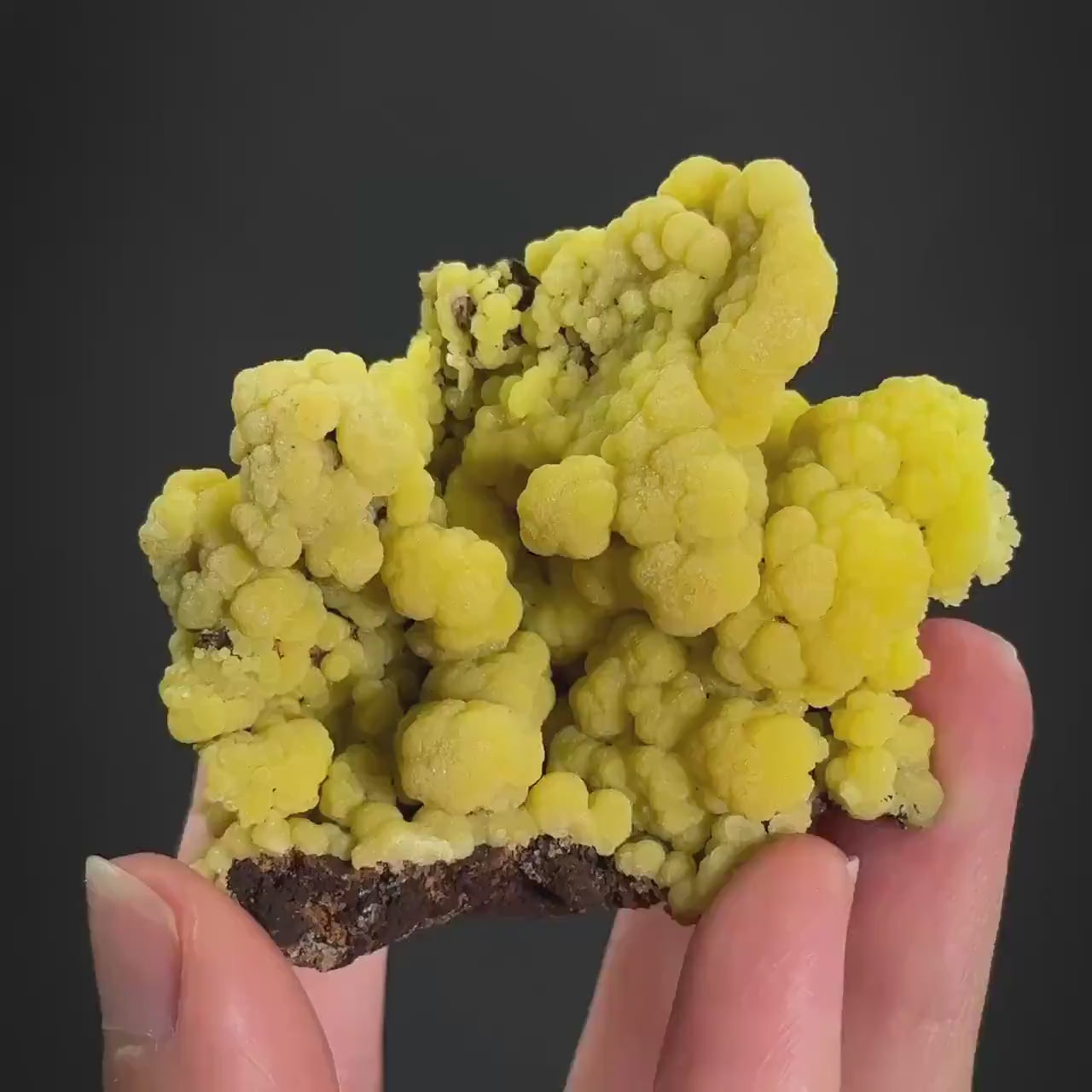 Mimetite | Yellow Crystal, Botryoidal Mineral Specimen from Mexico