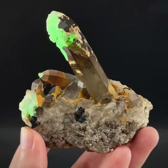 Hyalite Opal on Smoky Quartz (Namibia) | UV reactive Hyalite Opal on smoky quartz crystal