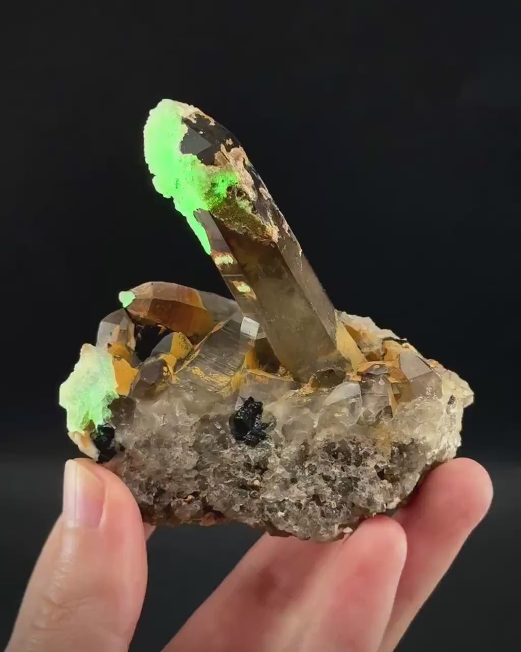 Hyalite Opal on Smoky Quartz (Namibia) | UV reactive Hyalite Opal on smoky quartz crystal