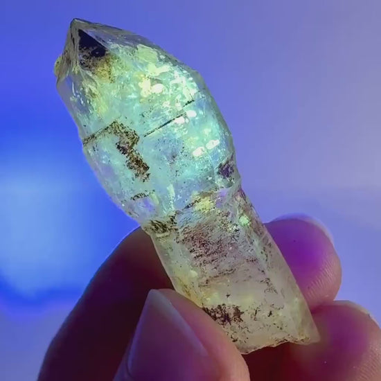 Firefly Petroleum Quartz Sceptre | UV reactive crystal, fluorescent mineral from Madagascar