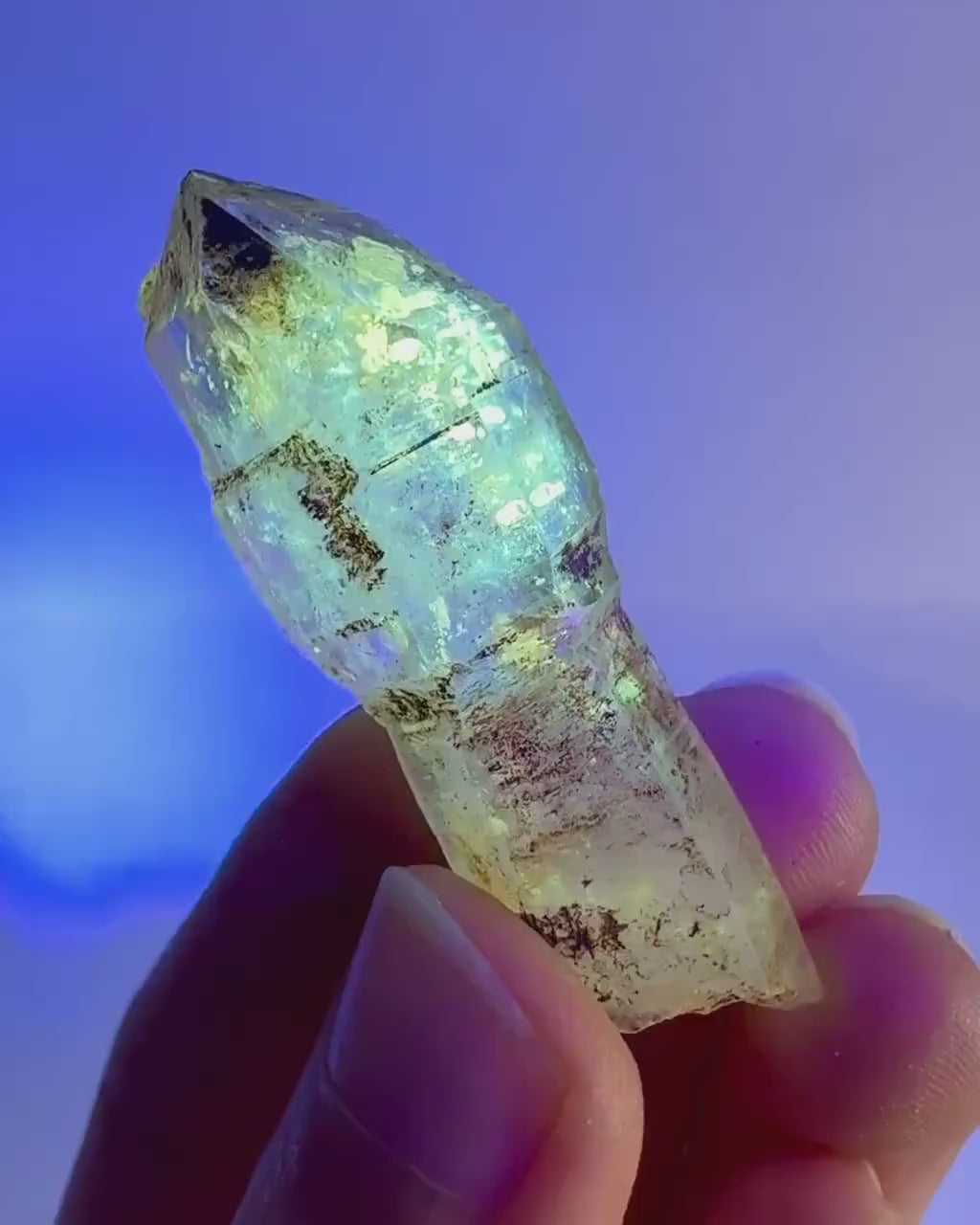 Firefly Petroleum Quartz Sceptre | UV reactive crystal, fluorescent mineral from Madagascar
