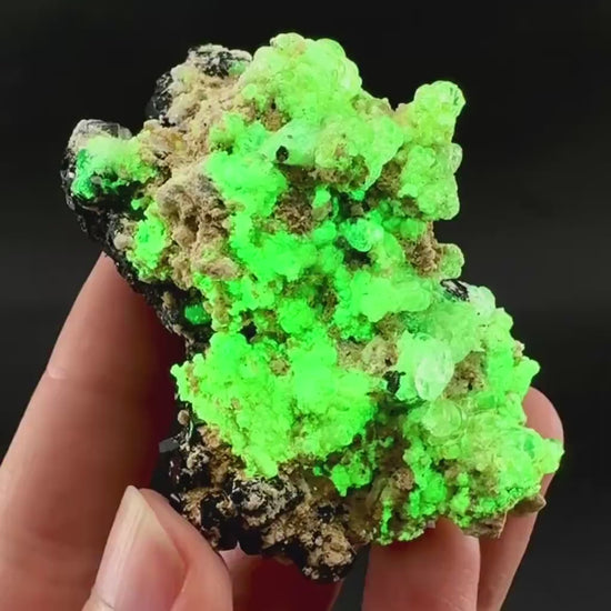 UV Reactive Hyalite Opal on Black Tourmaline | Fluorescent Mineral Specimen from Namibia
