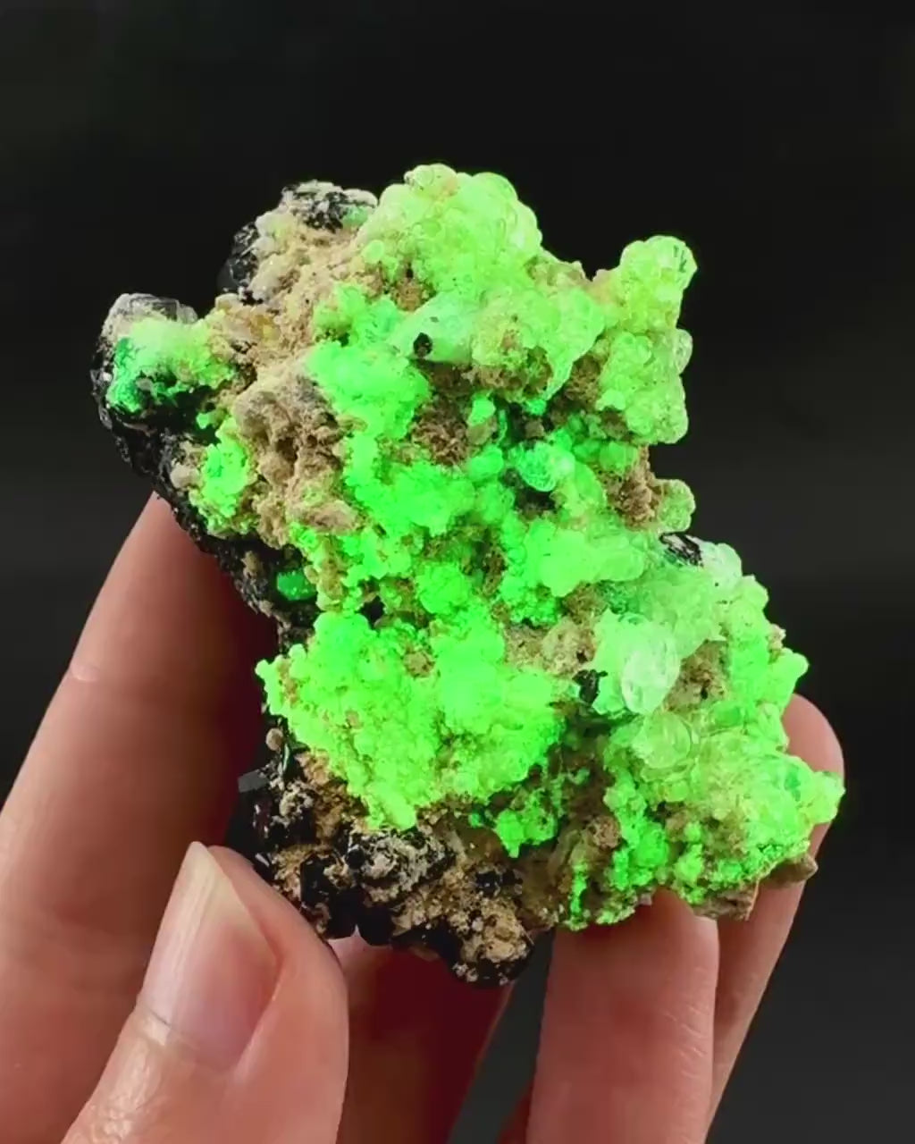 UV Reactive Hyalite Opal on Black Tourmaline | Fluorescent Mineral Specimen from Namibia