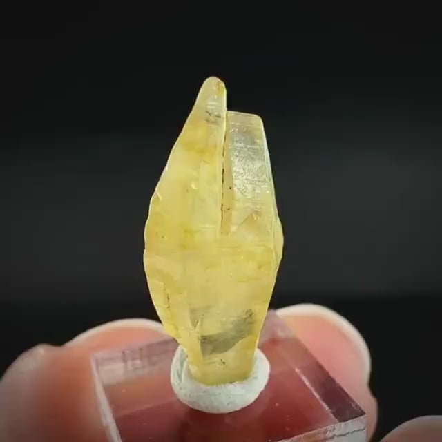 Ceylon Sapphire | natural yellow crystal, uncut raw sapphire, mineral specimen from Sri Lanka