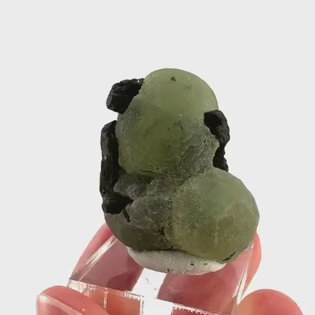 Prehnite with Epidote | Botryoidal green crystal, mineral specimen from Mali