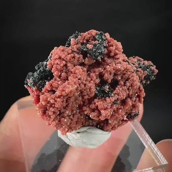 Hausmannite on Andradite Garnet | rare mineral specimen from South Africa