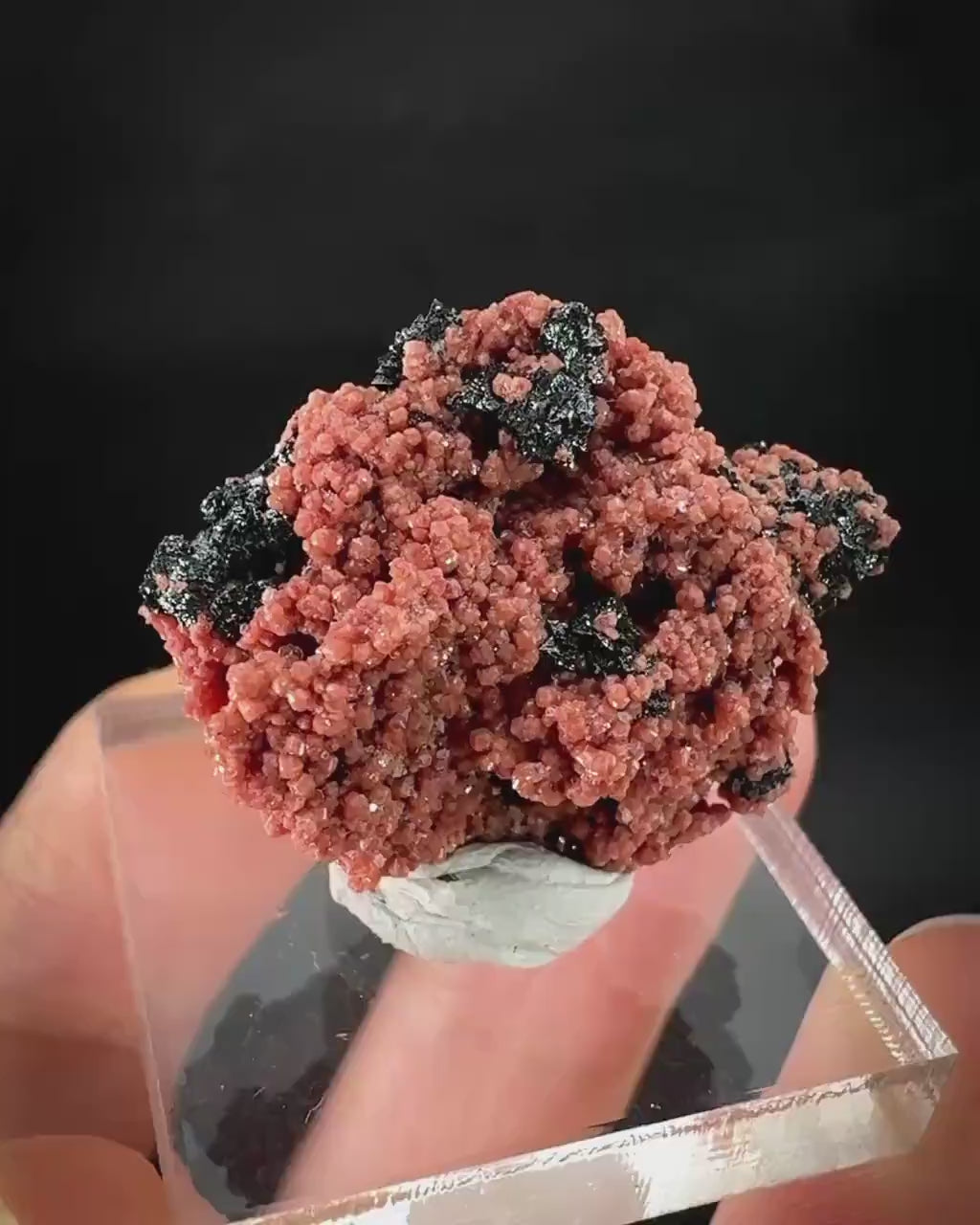 Hausmannite on Andradite Garnet | rare mineral specimen from South Africa