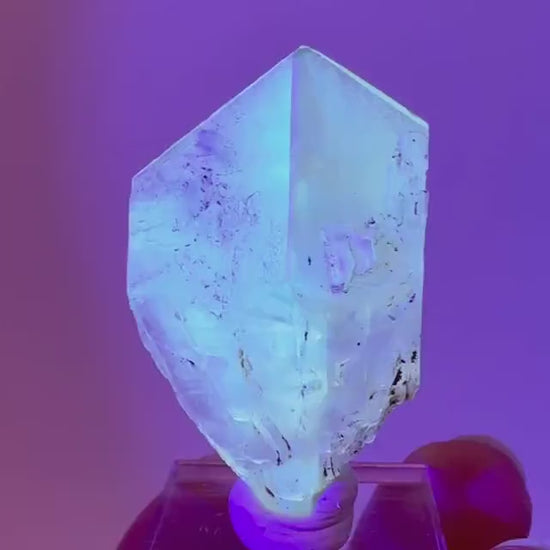Fluorescent & Phosphorescent Golden Selenite  (Canada) | selenite rosette, selenite crystal, UV reactive crystal, crystals