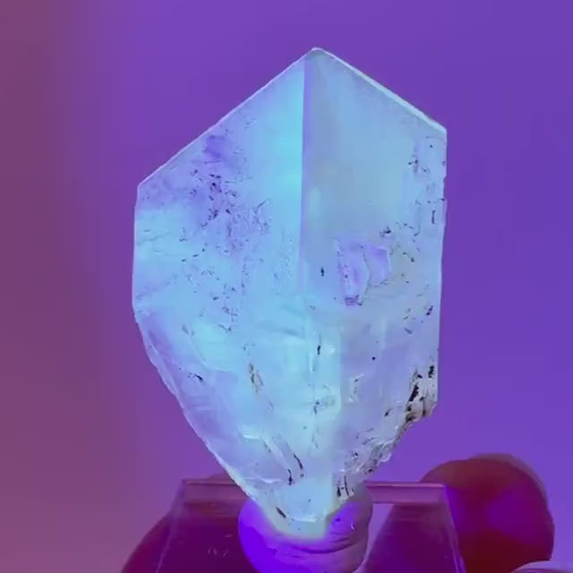 Fluorescent & Phosphorescent Golden Selenite  (Canada) | selenite rosette, selenite crystal, UV reactive crystal, crystals