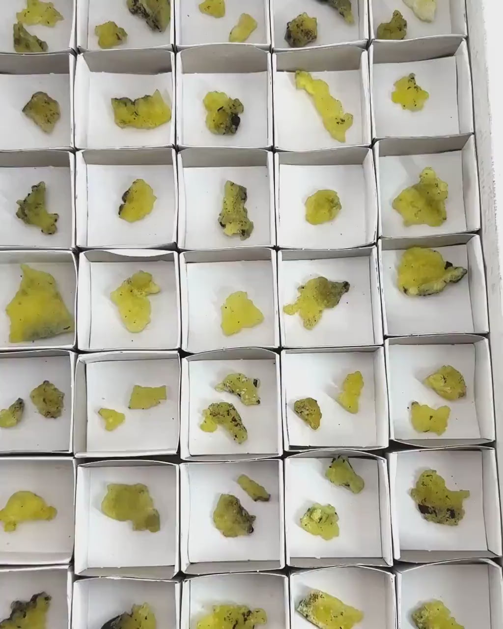 47pcs Yellow Brucite Wholesale | yellow brucite specimen, raw brucite, yellow brucite crystal, wholesale crystals, bulk crystals