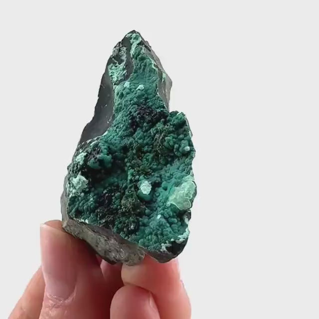 Chrysocolla / Gem Silica (DR Congo) | botryoidal chrysocolla crystal, mineral specimen