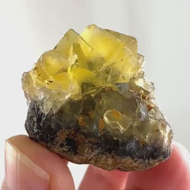 Okorusu Fluorite (Namibia) | “Honey Pocket” fluorite cluster, yellow fluorite crystal, mineral specimen