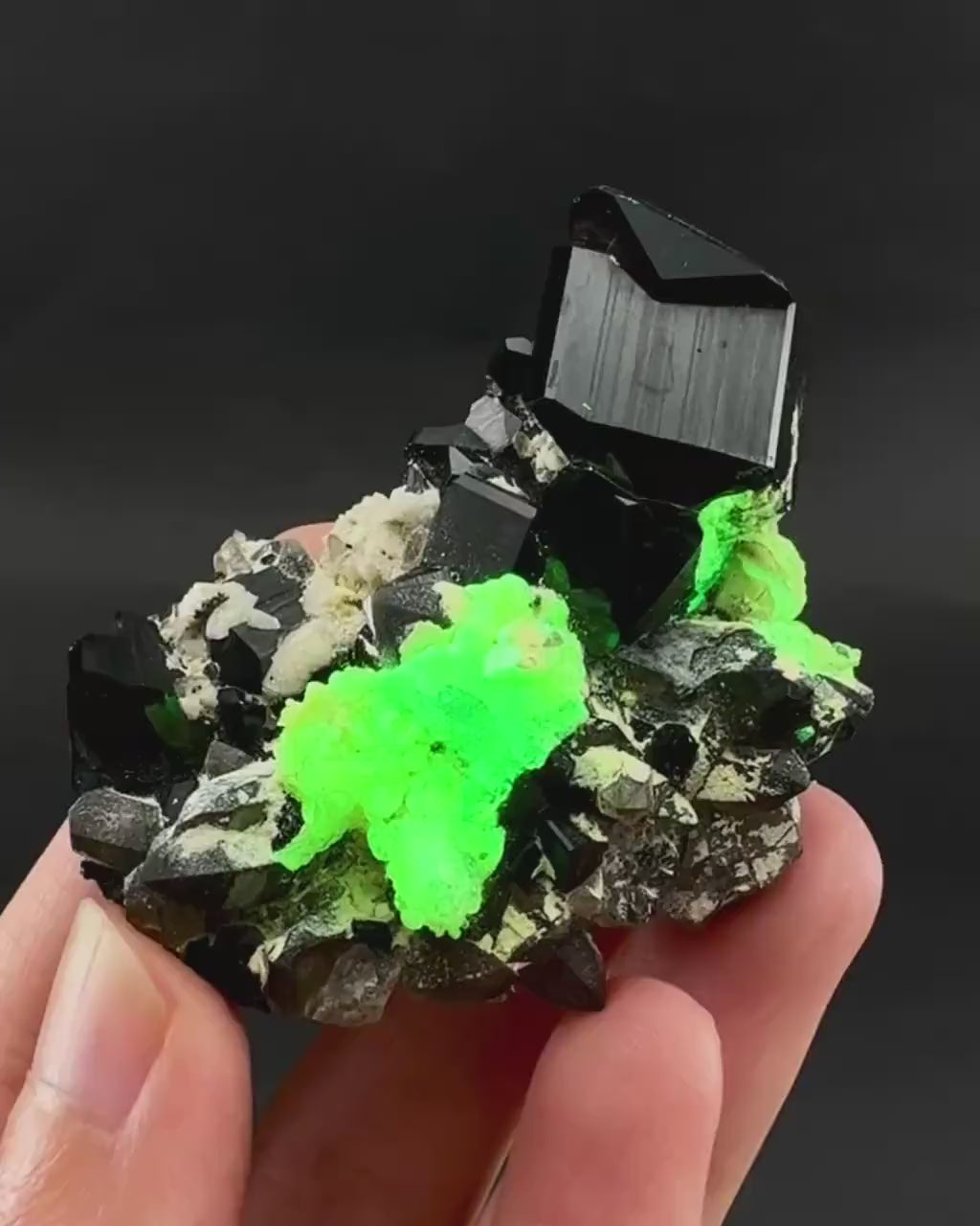 UV Reactive Hyalite Opal on Black Tourmaline | Fluorescent Mineral Specimen from Namibia