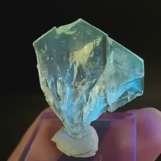Golden Selenite Blade | Fluorescent UV Reactive Gypsum Crystal
