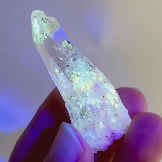 Firefly Petroleum Quartz | UV reactive crystal, fluorescent mineral from Madagascar