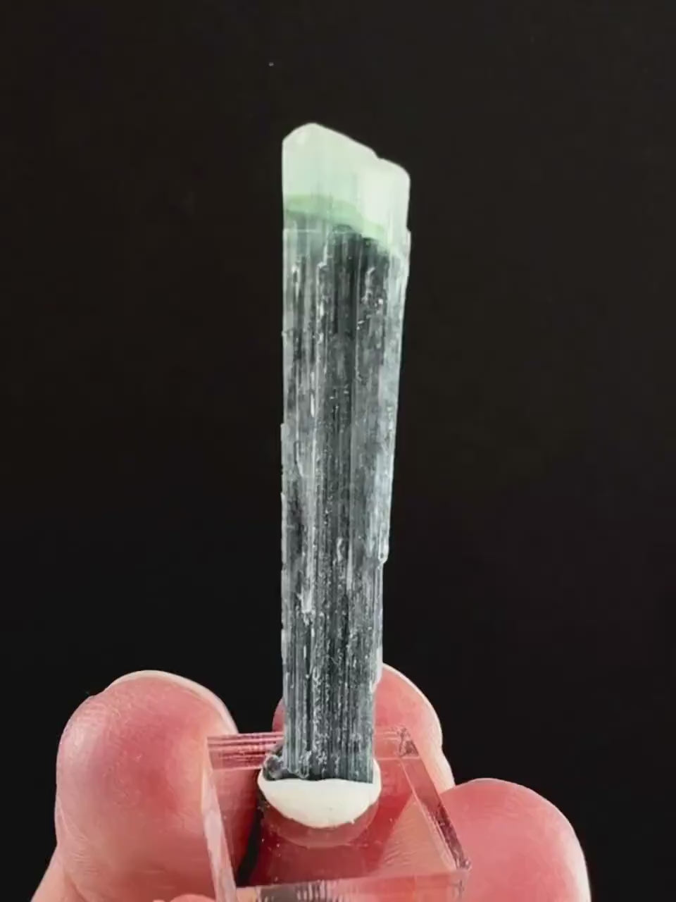 Indicolite Tourmaline (Pakistan) | blue tourmaline, natural tourmaline, green tourmaline, tourmaline crystal, bi color tourmaline