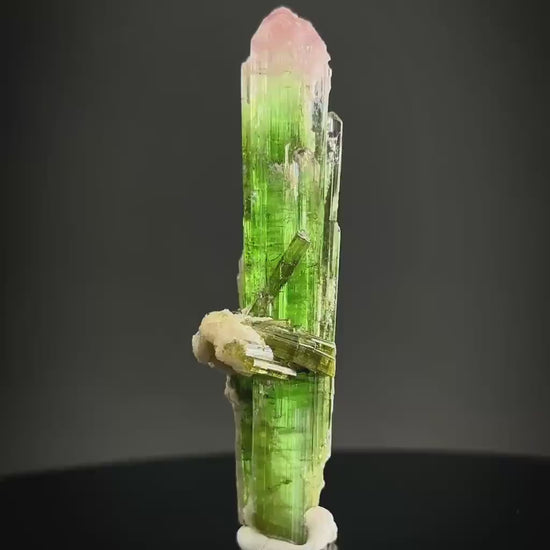 Watermelon Tourmaline | Green & Pink Bi-Color Elbaite Crystal, mineral specimen from Paprok