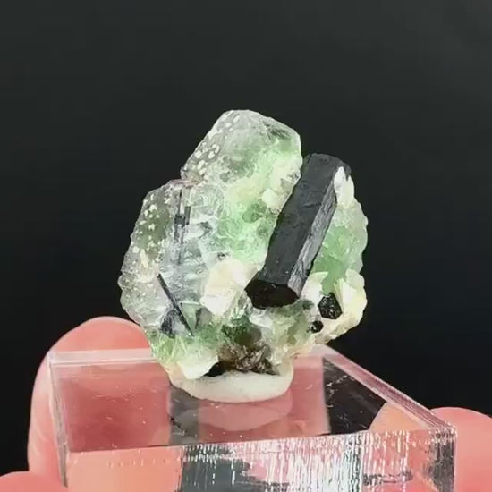Fluorite w/ Schorl, & Muscovite | Lollipop Pocket, green crystal cluster, mineral specimen from Namibia