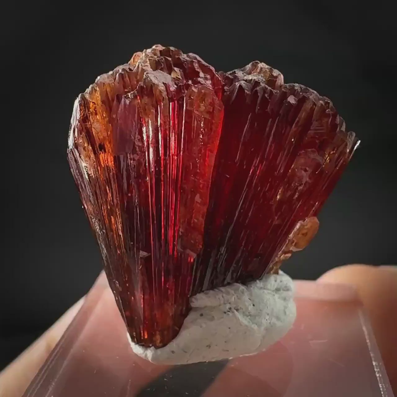 Rhodochrosite (South Africa) | natural rhodochrosite crystal, rare mineral specimen