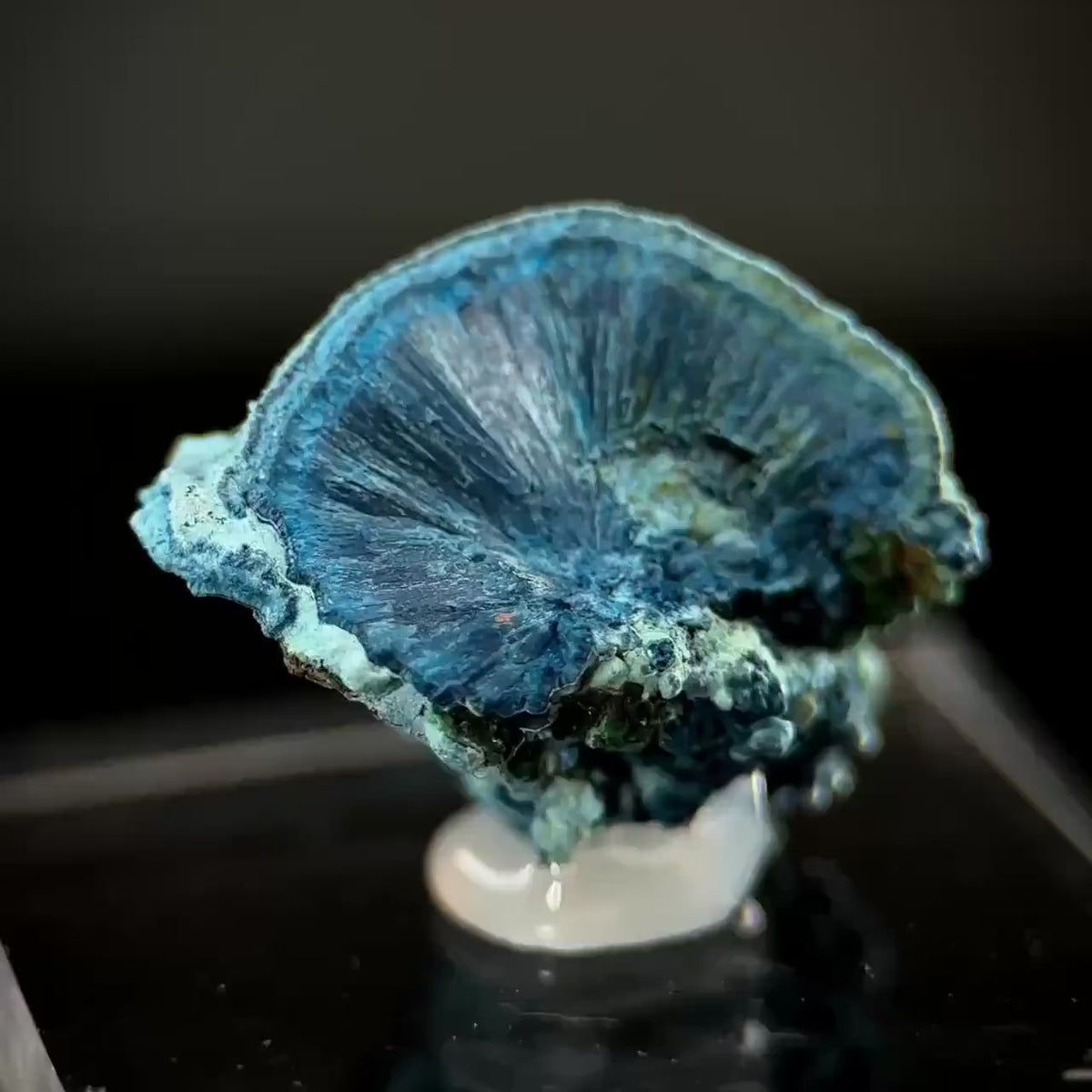 Fibrous Shattuckite | Blue Crystal, Mineral Specimen from DR Congo