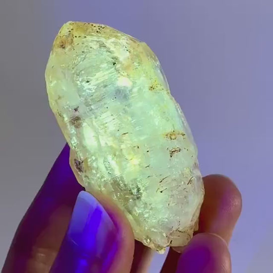 UV Reactive Petroleum Quartz (Madagascar) | natural firefly petroleum quartz crystal, fluorescent minerals