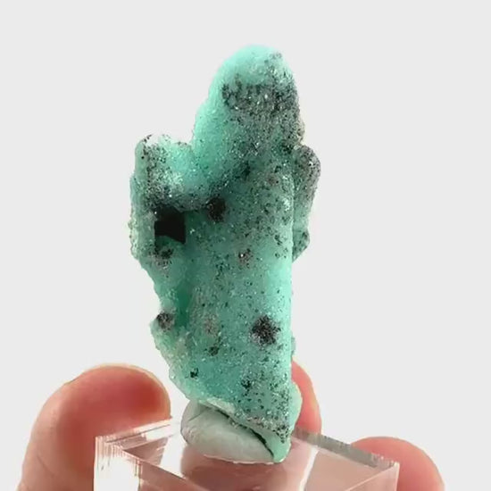 Chrysocolla Pseudomorph after Azurite (DR Congo) | blue chrysocolla crystal, mineral specimen