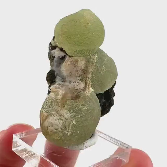 Prehnite with Epidote | Botryoidal green crystal, mineral specimen from Mali