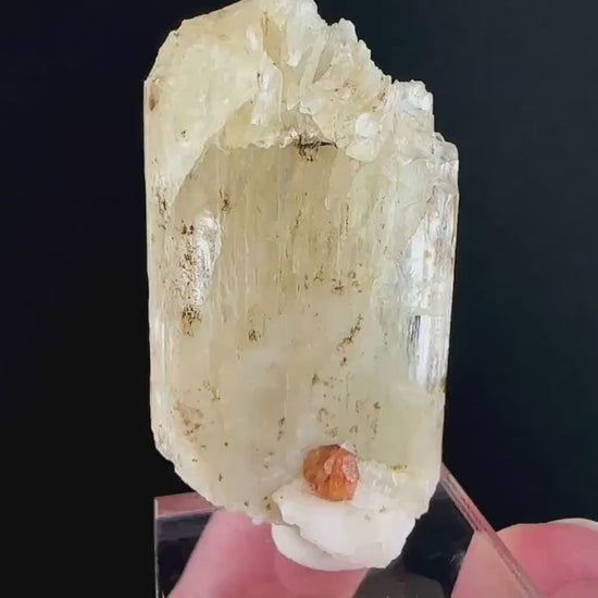 Rare! Spessartine Garnet on Kunzite (Pakistan) | orange garnet on kunzite, kunzite crystal, kunzite specimen, rare crystals, rare minerals