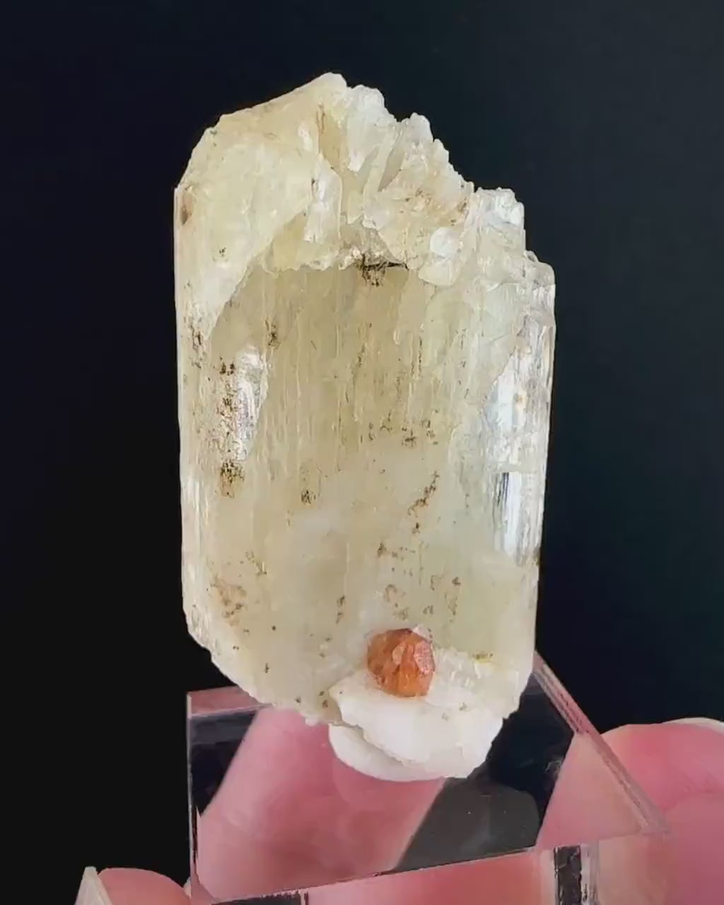 Rare! Spessartine Garnet on Kunzite (Pakistan) | orange garnet on kunzite, kunzite crystal, kunzite specimen, rare crystals, rare minerals