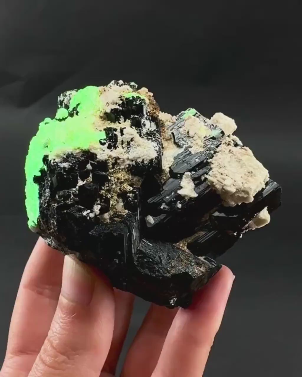 UV Reactive Hyalite Opal on Black Tourmaline | Fluorescent Mineral Specimen from Namibia